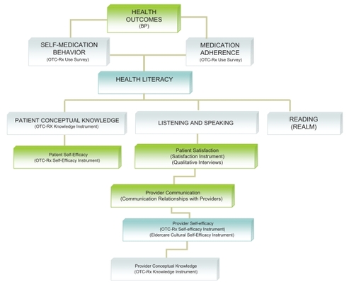 Figure 1 Interplay of health literacy with project outcomes.