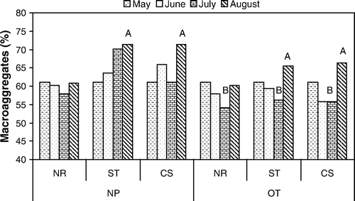 Figure 2.  Percentage of soil macroaggregates measured over time in plot treatments with no plants (NP) or oats (OT) and with no residue (NR), straw residue (ST) with low C:N, or corn residue (CS) with high C:N from initial planting (May) to harvest (August) 2004. May figures were averaged across all treatments. Plots marked A are significantly greater (p=0.05) than other treatments at August sampling, and B are significantly less (p=0.05) than other treatments at July sampling (n=4) by two-way ANOVA.