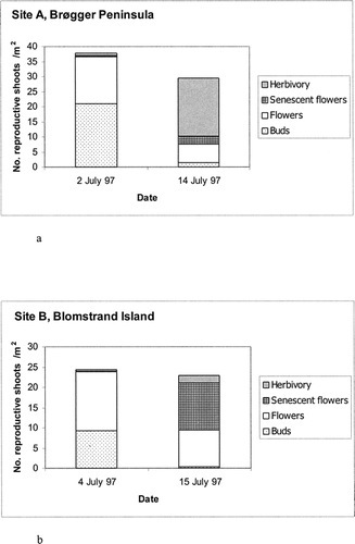 FIGURE 3. Numbers of reproductive shoots (m−2) within defined categories at the extensive monitoring plots on the Brøgger Peninsula (Site A, Fig. 3a) and on Blomstrand island (Site B, Fig. 3b) on the dates shown (n = 5 replicate plots). The transformations between these dates are also indicated. The coefficiants of variation for herbivory categories were 25.6% and 179.9% for the Brøgger Peninsula and Blomstrand island plots, respectively