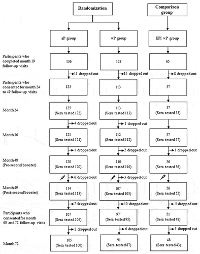 Figure 1. The consort flow diagram of this study.