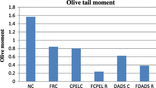 Figure 12. The olive tail moment in control, adaptive dose radiation control, and papaya and DADS pretreatment prior irradiation groups.