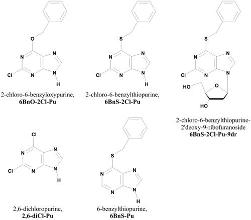 Figure 1. Structure of purine derivatives used in this study.