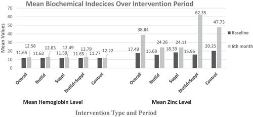 Figure 3. Mean hemoglobin and Zinc levels of the various interventions at baseline and 6th-month.
