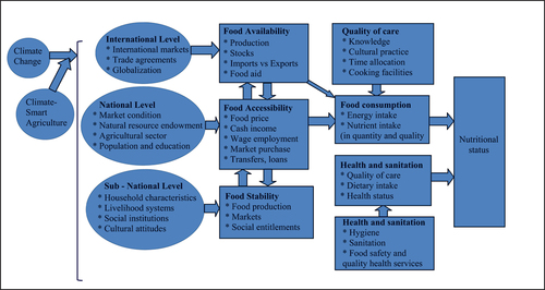 Figure 2. Framework of food security.