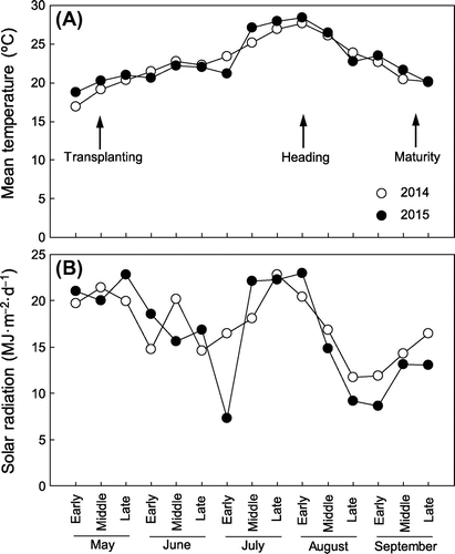 Figure 3. (A) Mean temperature and (B) solar radiation during the rice growth period measured in the experimental field.