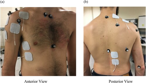 Figure 1 Functional electrical stimulation electrodes and reflective marker placements. (a) Anterior view and (b) posterior view