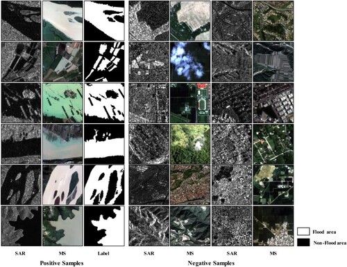 Figure 5. An example of positive and negative samples. The left three columns show some positive samples (containing flood areas), which respectively represent SAR data, MS data, and labels covering the same region. The right four columns show some of the negative samples (containing only non-flood areas) representing SAR and MS covering the same region. The white pixels in the label represent flood areas and the black ones represent non-flood areas.