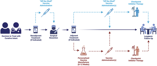 Figure 3. Opportunities for ‘off the shelf’ and personalized cancer vaccines in the neoadjuvant and adjuvant settings.