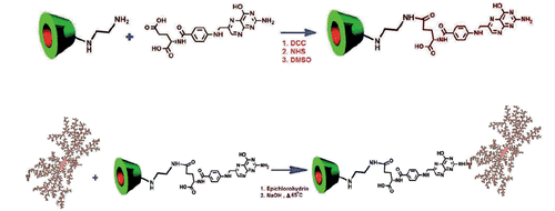 Scheme 1. Synthesis of Dx-CD-FA.