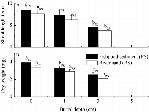 Figure 2. Effects of burial by fishpond sediment and river sand on (A) shoot length and (B) dry weight of V. natans seedlings after germination (mean ± SE). Values with the same lowercase letter in treatments of the same sediment type are not significantly different according to results of one-way ANOVA with Duncan's test at p = 0.05.
