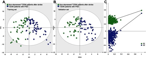 Figure 1 Metabolomic analysis of urine samples from the two groups: (A) OPLS-DA model built with training set (green dot, nondepressed T2DM patients after stroke; blue dot, T2DM patients with PSD); (B) T-predicted scatter plot built with validation set (green dot, nondepressed T2DM patients after stroke; blue dot, T2DM patients with PSD); (C) 399-item permutation test.