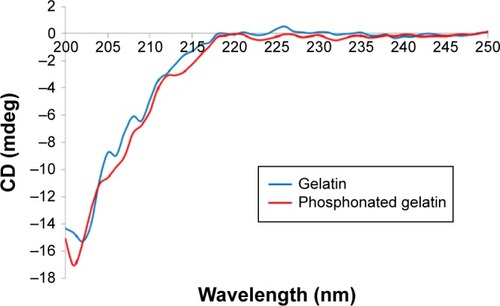 Figure 3 CD spectra of unmodified and phosphonated gelatin.Note: The concentrations were 0.01 wt%.Abbreviation: CD, circular dichroism.