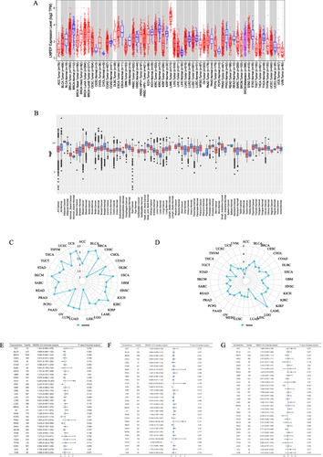 Figure 1 Pan-cancer LNPEP expression and prognosis. (A) LNPEP expression pattern in various tumor types was obtained from the Timer database. (B) Expression of LNPEP in different types of cancer derived from GENT2 database. (C) LNPEP expression in tumor tissues based on TCGA database. The location of the dot represents the mean value of LNPEP expression. (D) LNPEP expression in normal tissues based on GTEx database. The location of the dot displays the mean value of LNPEP expression. (E) OS analysis revealed that LNPEP was significantly correlated with the prognosis of KIRC (p<0.001) and READ (p=0.042) (F) DSS displayed that LNPEP was observably correlated with the prognosis of KIRC (p<0.001) and OV (p=0.009) (G) The prognosis of PFI showed that LNPEP was markedly correlated with the prognosis of KIRC (p<0.001), PCPG (p=0.024), SKCM (p=0.024). **p < 0.01; and ***p < 0.001; ns, not significant.