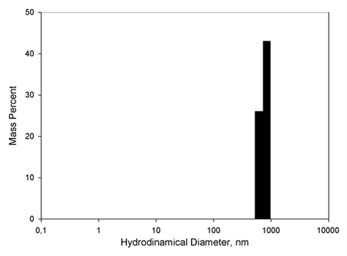Figure 3. Hydrodynamic diameter distribution of the aggregates present in the peptide solution.