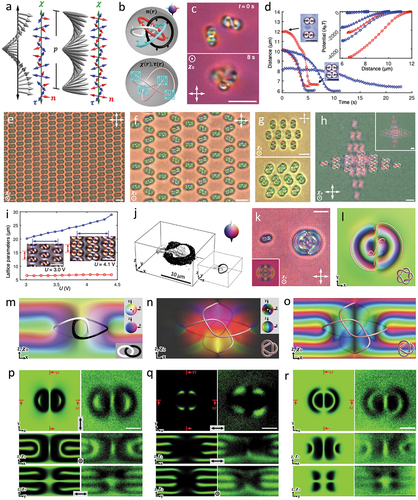 Figure 6. Heliknotons – a new class of 3D knot solitons in the helical background of chiral LCs. (a) Helical field comprising a triad of orthonormal fields nr,χr, and τr. nr can be a polar vector field (left) or a nonpolar line field (right). (b) Schematics showing preimages in nr form inter-linked loops with a linking number of 1 for each pair of preimages (top), and knotted half-integer vortex lines in χr and τr (bottom). (c) Two heliknotons interact in 3D while forming a dimer. (d) Pair interaction of heliknotons. Different symbols represent samples with different LC materials or applied voltage. See ref [Citation14] for more details. (e,f) 2D closed rhombic (e) and open (f) lattices of heliknotons. (g) Crystallites with aligned (top) and anticlinically tilted (bottom) heliknotons at U = 1.8 V and 2.3 V, respectively. (h) 3D heliknoton lattice comprising crystallites with perpendicular orientations. The inset is obtained when focusing in different crystalline planes ∼10 μm apart. (i) Electrostriction of a heliknoton crystal. Insets show lattices at different U, with the lattice parameters shown in blue and red. (j) Experimentally reconstructed interlinked preimages of ±zˆ orientations in a heliknoton. The inset shows the simulated counterpart. (k) Polarizing optical micrograph showing a Q=1 (left) and a Q=2 heliknoton (right), with the computer-simulated counterpart of a Q=2 heliknoton in the inset. (i) Horizontal midplane cross-section colored by nr orientations in S2 and the knotted singular vortex lines in χr and τr shown as light-red tubes in a Q=2 heliknoton. The schematic of vortex lines forming a right-handed T(5,2) torus knot is shown in inset. (m) Preimages of ±zˆ orientations of nr forming a Hopf link and the vertical mid-plane cross-section of nr shown by colors corresponding to S2 orientations shown in the top-right inset. (n,o) the singular vortex line in χr and τr forming a trefoil knot visualized by light-red tubes and the cross-sections of χr and τr, respectively, shown by colors corresponding to S2/Z2 orientations shown in the top-right inset in (n). (p–r) simulated and experimental 3PEF-PM images of nr in the cross-sections of a Q=1 heliknoton obtained with marked linear polarizations [(p) and (q)] and circular polarization (r). Left-side images are numerical and right-side ones are experimental. All scale bars are 10 μm. Reproduced from [Citation14] with permission.