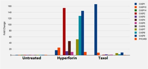 Figure 14. Fold change of gene expression of caspases receptors in the MDA-MB-231. Gene expression of caspases receptors in treated cells were assayed by PCR microarray analysis. Increase in gene expression of caspases in MDA-MB-231 cells after the treatment of hyperforin and taxol. Data are expressed as the hyperforin and taxol induced fold change of regulation relative to untreated cells.