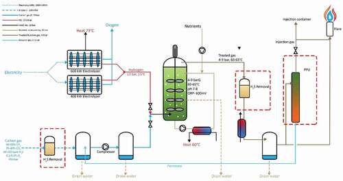 Figure 14. Electrochaea plant schematic adapted from the plant technical report[Citation26].