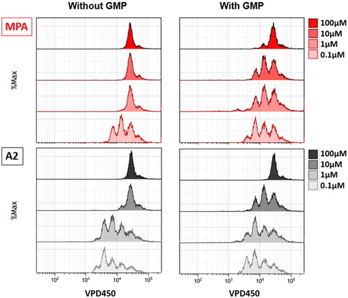 Figure 5. Representative antiproliferative activity of MPA and A2. VPD 450-labelled human PBMCs, in the presence of different concentrations (100; 10; 1 and 0.1 µM) of MPA (red) and A2 (black) and stimulated (magnetic beads coated with anti-CD3 and anti-CD28 antibodies) were cultured with or without the addition of 50 µM GMP for 72 h. Cell proliferation was analysed using flow cytometry.