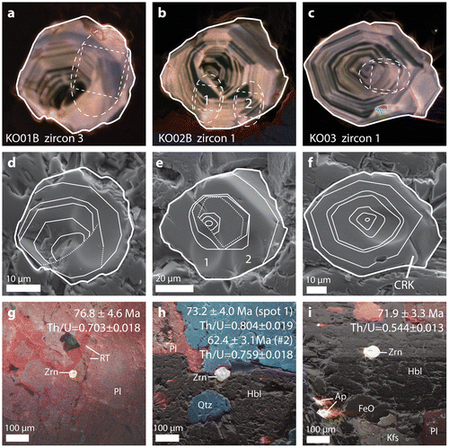 Figure 9. CL images of dated (a) zircon 3 in sample KO01B, (b) zircon 1 in sample KO02B and (c) zircon 1 in sample KO03. Dashed white ovals outline the location of the ion microprobe spot and the solid line outlines the zircon grain. Two ages were obtained from zircon 1 in sample KO02B. (d), (e) and (f) are SE images of the dated zircons showing the elliptical depression made by the ion microprobe. Interpreted inner core, mid-rim and outer rim are outlined in white. Truncation surfaces are indicated with dashed curves. (g), (h) and (i) are composite CL–SE images of the zircon in thin section. Dark area above zircon 3 is a plucked grain.