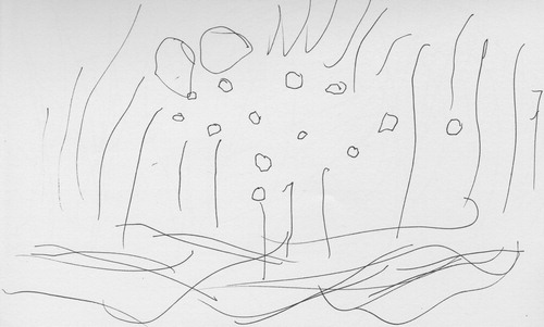 Figure 5. Spaghetti and meatballs drawing by Anna (3 years).