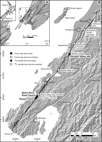 Fig. 1  (A) Location map showing the Ohariu Fault (bold) in relation to other active faults in the Wellington region. The inset shows the major features of the New Zealand plate boundary and the relative Pacific-Australian plate motion vectors along the Hikurangi Trough (labelled in mm/yr), after Nicol & Wallace (Citation2007). Active faults (on-land only; black lines) are from the New Zealand Active Faults Database (http://data.gns.cri.nz/af/index.jsp) (AkF: Akatarawa Fault, AwaF: Awatere Fault, NOF: Northern Ohariu Fault, PkF: Pukerua Fault, SGF: Shepherds Gully Fault, VF: Vernon Fault, WairF: Wairarapa Fault, WF: Wairau Fault, WgtnF: Wellington Fault, W: Wellington City). (B) Detailed map of the Ohariu Fault (black line) and nearby active faults of the Wellington region (white lines), from the same data source as (A). The three sites described in this study are labelled in bold, and the remainder are sites where radiocarbon ages constraining Ohariu Fault surface rupture events have been obtained (Heron et al. Citation1998; Litchfield et al. Citation2004, Citation2006; Cochran et al. Citation2007). Black open circles are the locations of major population centres. Grid references are in New Zealand Map Grid 1949 projection.
