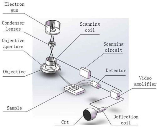 Figure 1. Scanning electron microscopy imaging system schematic diagram.