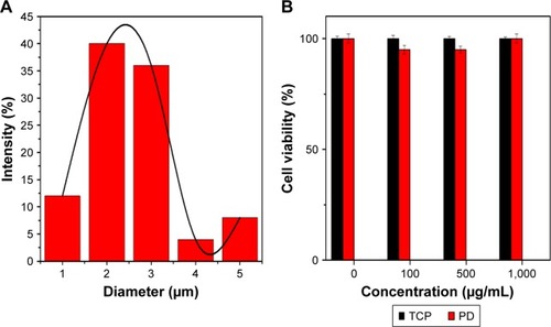 Figure 6 (A) Fiber diameter distribution in the fabricated photothermal device. (B) Cell viability following treatment with various concentrations of PD NPs and using TCP as control after 48 hours culture.Note: Error bar represents SD of three independent measurements.Abbreviations: PD, polydopamine; PD NPs, polydopamine nanospheres; TCP, tissue culture plate.