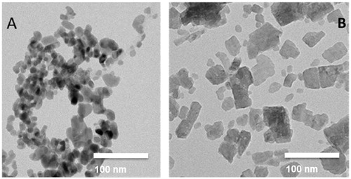 Figure 1. (A) TEM image of nano-sized CuO NP. (B) TEM image of Cu2CO3(OH)2 NP.