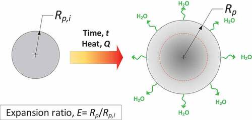 Figure 4. Particle expansion model.