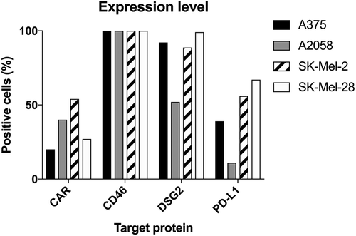 Figure 1. Expression of CAR, CD46, Desmoglein-2 and PD-L1 in human melanoma cells measured by flow cytometry (at least 104 cells/events were analyzed by flow cytometry in one replicate experiment). Data are expressed as percentage of cells positive for the marker.