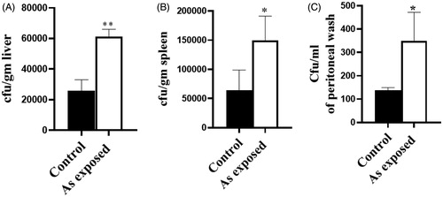 Figure 7. Effect of prenatal As exposure on susceptibility to septicemic E coli infection. At 28 days-of-age, mice in each group were infected intraperitoneally with 108 septicemic E. coli strain E14 and then evaluated at 24 h post-infection. (A) Liver and (B) spleen were each isolated, homogenized, and plated to permit colony-forming unit (cfu) estimations. (C) Peritoneal cavity lavages were also plated. E. coli cfu in each organ or cavity lavage are reported as mean ± SE (n = 3 per group; cfu/g or cfu/ml). Value significantly different from control at *p < 0.05, **p < 0.01.