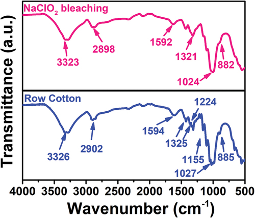Figure 6. FTIR spectra of raw cotton, and bleached cotton fabric at process water temperature.