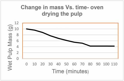 Figure 10. Change in mass vs. time- oven drying the pulp.