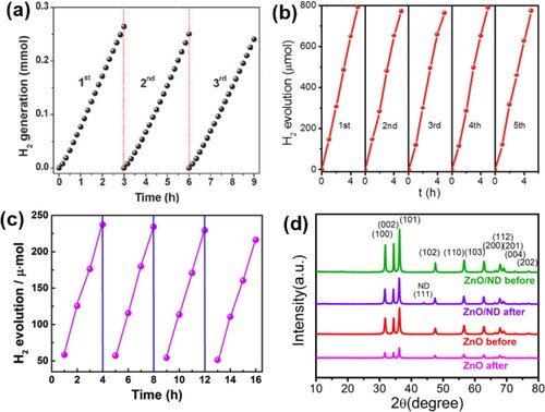 Figure 13. The stability of NDs-based composite photocatalyst: (a) Recycled photocatalytic activity of HND for the H2 evolution [Citation49]. (b) Cycling tests of NDs-Cu2O under AM 1.5 irradiation [Citation19]. (c) Cycling tests of ND@g-C3N4 (ND 10 wt%) under visible light irradiation [Citation39]. (d) XRD patterns of ZnO/ND and ZnO catalysts before and after five reaction cycles [Citation86].