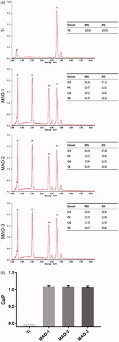 Figure 3. (a) EDS and elemental analysis of the four samples. (b) The ratio of Ca to P.