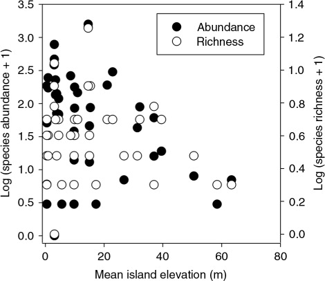 Fig. 2  The relationship between mean island elevation and observed richness and abundance of birds in Queens Channel, showing declines in diversity or numbers with increasing island elevation. Values are log transformed to correct skewing when visually represented.