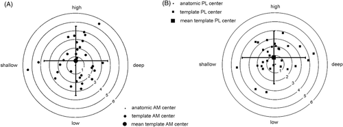 Figure 9. The positions of the template centers relative to the anatomic centers (bull's eye) for AM (A) and PL (B). The circles indicate the distance in mm. The total error is composed of the accuracy, represented by the distances in the high-low and shallow-deep directions between the bull's eye and the mean template centers, and the precision, represented by 1.96*SD (black lines).