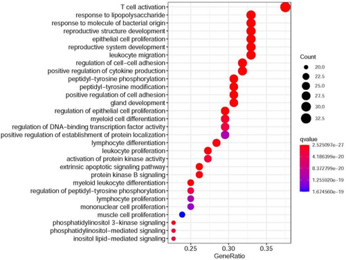 Figure 8 Analysis of the KEGG pathway of the target of XHP in the treatment of breast cancer.