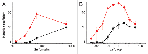 Figure 4 Performance of P. putida KT2440(pDNPcadA1lux) (black squares) and KT2440.2431(pDNPcadA1lux) (red circles) in Zn-contaminated soil samples. (A) Induction of the bioreporters as a function of Zn2+ concentration in the soil samples. The x-axis shows the spiked Zn concentration in the soil. Each measurement point corresponds to a soil sample spiked with different concentration of Zn. (B) Induction of the bioreporters in the dilution series of the soil sample spiked with 654 mg/kg of Zn2+. The x-axis shows the actual Zn concentration in the diluted samples. Data represent the mean ± standard deviation of three independent experiments.