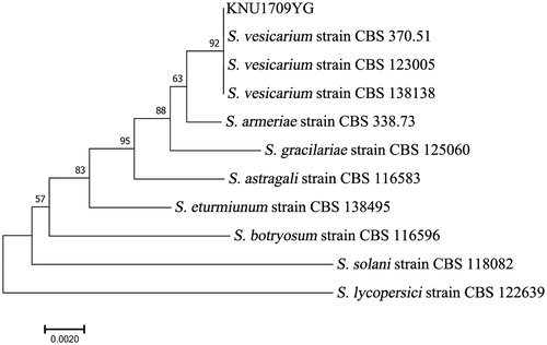 Figure 2. The phylogenetic tree based on combined of ITS and GAPDH gene sequences of Stemphylium vesicarium and other Stemphylium spp. DNA sequences from the GenBank were aligned using the ClustalW program in MEGA 7.0 and constructed using the neighbor-joining method with 1000 bootstrap replicates. The scale bar indicates the number of differences in nucleotide substitutions per sequences.