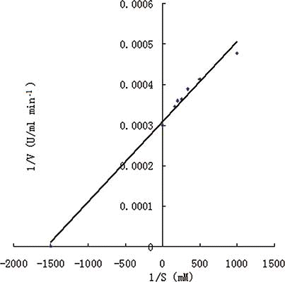 Figure 3 The Lineweaver–Burk plots of PPO activity measured with catechol as substrate. The concentration of catechol was 1, 2, 3, 4, 5, and 6 mM, respectively. (Color figure available online.)