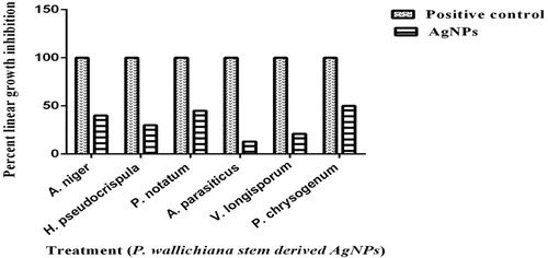 Figure 12. Antifungal activity of AgNPs of P. wallichiana.