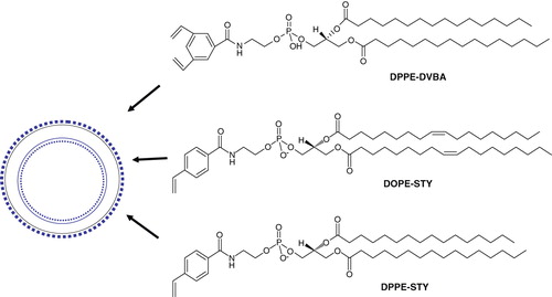 Figure 4. Light sensitive head-group polymerizable lipids. Chemical structures of currently available head group polymerizable lipids.
