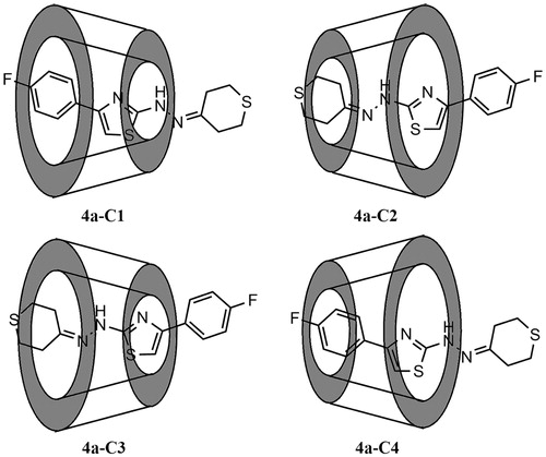 Figure 2. The four investigated orientations of 4a with respect to the β-cyclodextrin.