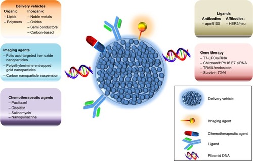 Figure 4 Clinical applications of nanoparticle-based delivery system in women’s health. Nanoparticles have been used in drug delivery, imaging, and gene therapy.Abbreviations: TRAIL, TNF-related apoptosis-inducing ligand; TNF, tumor necrosis factor.