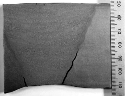 Figure 42. Example of cracking caused by an ‘Upshock’ thermal transient in a ferritic to ferritic DMW in a CrMoV weld made with 2.25Cr–1Mo filler metal [Citation74].