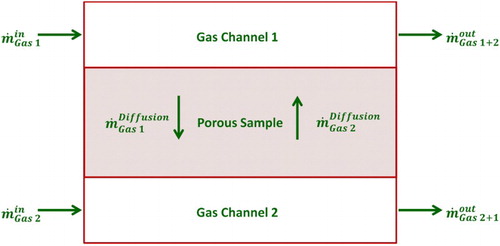 Figure 3. Mass balance over a Wicke Kallenbach diffusion cell to extract the diffusion flow rate across a porous sample.