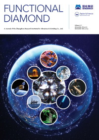 Cover image for Functional Diamond, Volume 3, Issue 1, 2023