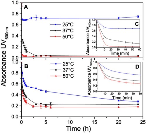 Figure 2 Kinetics of synthetic HDL (sHDL) assembly examined by the decrease in UV600nm turbidity of large unilamellar vesicle (LUV) solutions during incubation with 22A peptide. Liposomes at 5 mg/mL concentration of egg sphingomyelin (eSM) (A/C) and 1-palmitoyl-2-oleoyl-sn-glycero-3-phosphocholine (POPC) (B/D) were incubated with 5 mg/mL 22A peptide for 24 hrs at three different temperatures. sHDL assembly during the first hour of incubation is shown in the figure inserts (C and D).