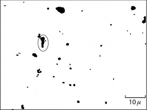 FIG. 4 Typical field of particles on a polycarbonate filter, imaged by backscattered electrons at a magnification of 1500 X. The circled particle has an “estimated aerodynamic equivalent diameter” of 2.1 μm and is composed of a mixture of mostly calcium, tin, silicon, and lead, with traces of iron, potassium, and chlorine.